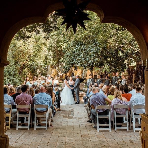 Wedding venue - boojum tree hidden gardens