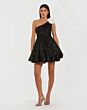 Black Ivory