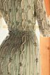 Mac Duggal 10077 Jewel Neckline Beaded Long-Sleeve Dress