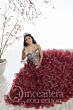 House Of Wu 26845 Quinceanera Dress