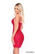 Amarra 88031 Sheer Side Embroidered Dress