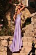 Amarra 89447 Embellished Bodice Spaghetti Strap Dress
