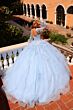 Amarra 54290 Bishop Sleeve Basque Waist Quince Gown