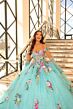 Amarra 54200 Floral Appliques Glitter Lace Quinceanera Dress