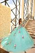 Amarra 54200 Floral Appliques Glitter Lace Quinceanera Dress