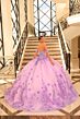 Amarra 54224 Illusion Corset 3D Flowers Quinceanera Gown
