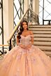Amarra 54228 Illusion Corset Floral Appliques Quinceanera Gown
