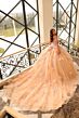 Amarra 54228 Illusion Corset Floral Appliques Quinceanera Gown