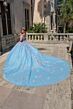 Amarra 54228 Illusion Corset Floral Appliques Quinceanera Gown