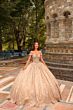 Amarra 54324 Hooded Cape Petal Train Quince Dress