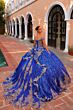Amarra 54324 Hooded Cape Petal Train Quince Dress