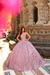 Amarra 54324 Hooded Cape Petal Train Quince Dress