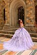 Amarra 54232 Cold-Shoulder Illusion Bodice Dress