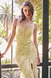 Andrea and Leo A1362 Evening Dress