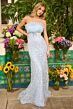 Ava Presley 42224 Ruffle Neck Empire Waist Dress