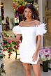 Ava Presley 29124 Feather Sleeve Beaded Neck Dress