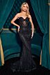 Ladivine CD794 Illusion Bodice Sweetheart Neck Dress