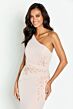 Cameron Blake CB142 One Shoulder Floral Dress