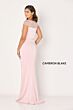 Cameron Blake CB786 Cap Sleeve Pleated Bodice Dress