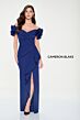 Cameron Blake CB209 Pleated Bodice Rosette Sleeve Dress
