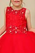 Cinderella Couture 5010 Young Girl Dress