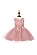 Dusty Rose
