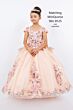 Cinderella Couture 8125J Quinceanera Dress