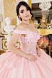 Cinderella Couture 8160J Quinceanera Dress