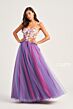 Purple/Multi