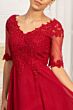 Elizabeth K GL1982 Sheer Sleeve A-Line Chiffon Dress