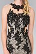 Elizabeth K GL2220 Illusion Back High Neck Floral Dress