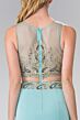 Elizabeth K GL2248 Embroidered Illusion Two Piece Dress