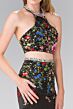 Elizabeth K GL2260 Floral Embroidered Two Piece Dress