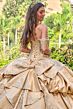 Elizabeth K GL3810 Quinceanera Dress