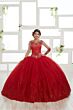 House of Wu 24020 Long Sleeve Quinceanera Dress