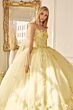 Juliet JT1436 Quinceanera Dress