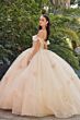 Juliet JT1448J Quinceanera Dress
