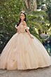 Juliet JT1448J Quinceanera Dress