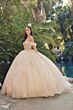 Juliet JT1448J Quinceanera Dress