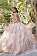 Juliet JT1450J Quinceanera Dress