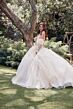 Juliet JT1465H Quinceanera Dress