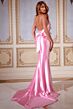 Jovani D5098 Beaded Corset Bow Back Dress