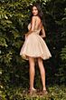 LaDivine Dress CD0189 Illusion Sides Sheer Bodice Cocktail Dress