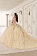 LaDivine 15724 Floral Appliques Sheer Corset Quinceanera Dress