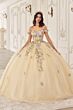 LaDivine 15724 Floral Appliques Sheer Corset Quinceanera Dress