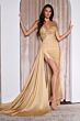 Ladivine J875 Sweetheart Neck Sheer Corset Bodice Dress