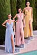 LaDivine CD410 Neck Scarf Ruched Dress