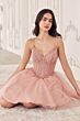 LaDivine CD0236 Lace Corset Basque Waist Dress