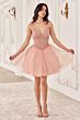 Blush