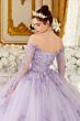 LaDivine 15706 Illusion Sleeve Off-The-Shoulder Neck Sweet 16 Dress